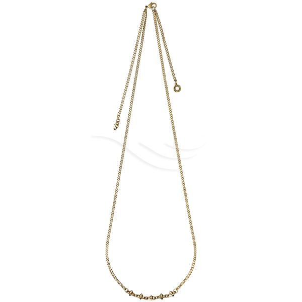 Little Hint Gold Plated Necklace