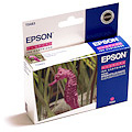 Epson Ink T0483 Magenta C13T04834010