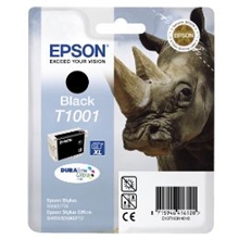  Epson T1001 black C13T10014010