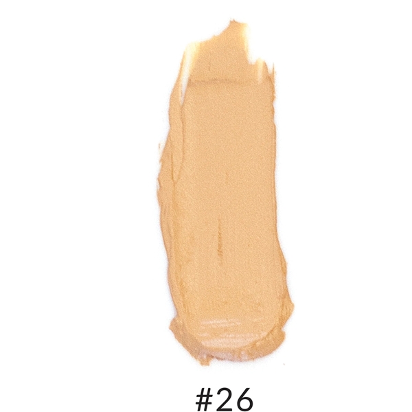 Anne T. Dotes Concealer (Picture 2 of 4)