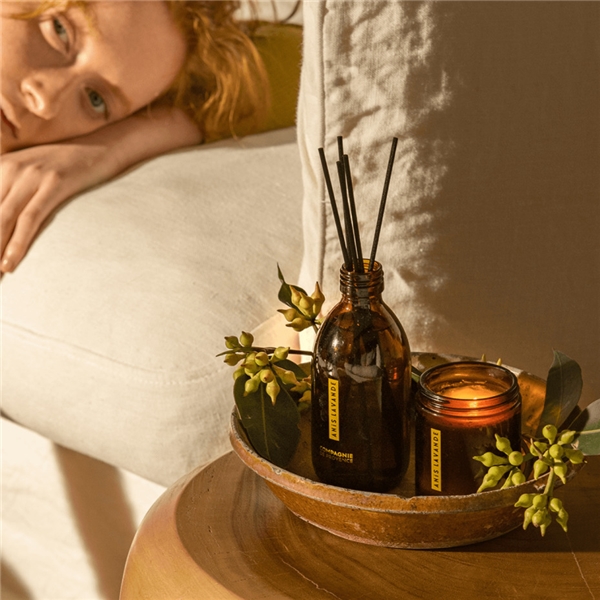 Fragrance Diffuser Anise Lavender (Picture 3 of 3)
