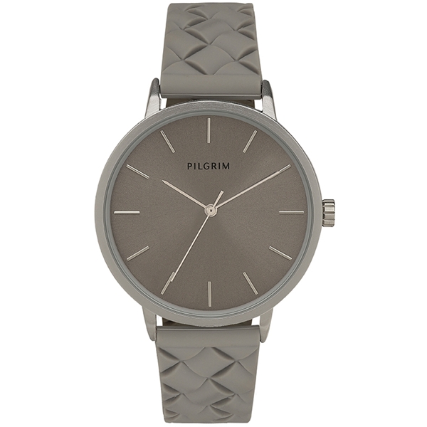 Aster Grey Watch (Picture 1 of 3)