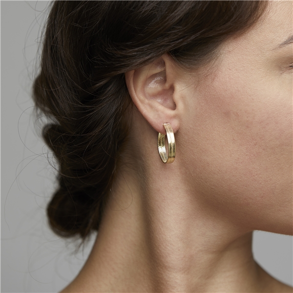 Noreen Earrings Gold Plated (Picture 2 of 2)