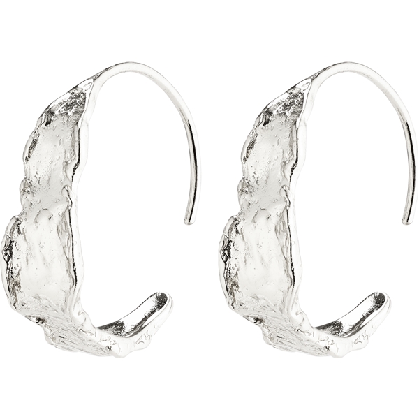10211-6003 Compass Silver Plated Earrings (Picture 1 of 2)