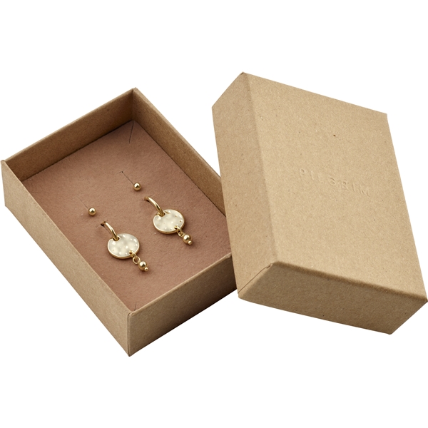 76223-2001 MSF Coin Hoops & Earstuds - Gift Set (Picture 1 of 5)