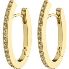 26234-2023 ANAYA Crystal Hoops