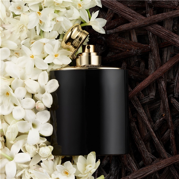 ralph lauren intense perfume