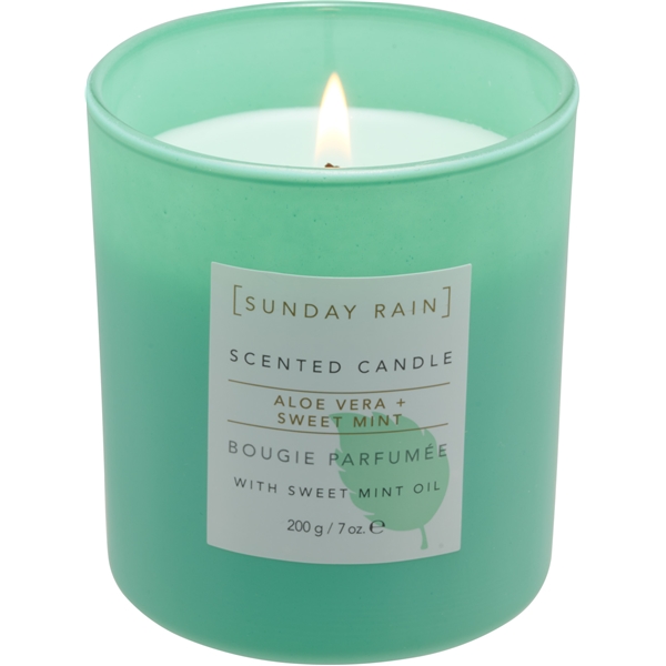 Sunday Rain Aloe & Sweet Mint Candle (Picture 1 of 5)