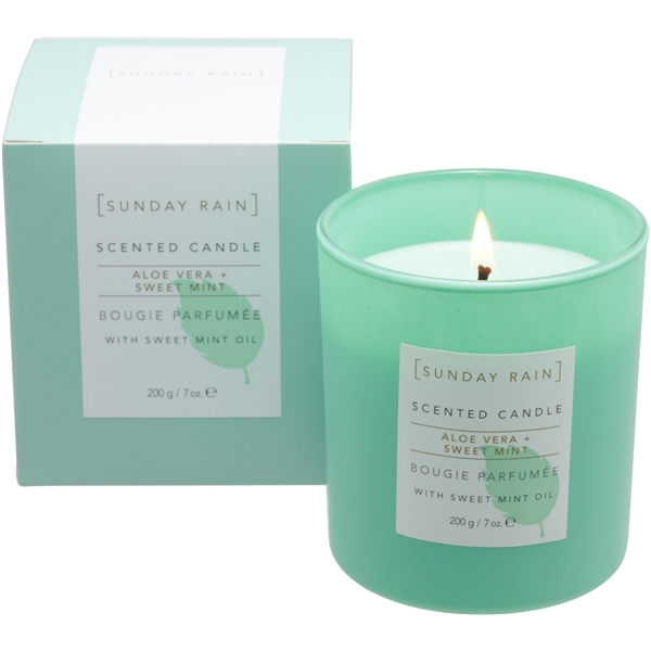 Sunday Rain Aloe & Sweet Mint Candle (Picture 2 of 5)
