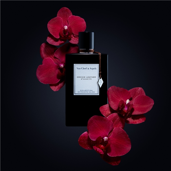 Orchid Leather - Eau de parfum (Picture 3 of 3)